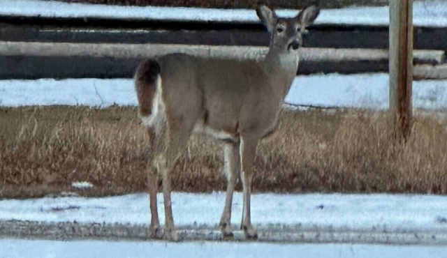 Quiet 3 Bedroom Home with Beautiful Mountain Views in Jackson.