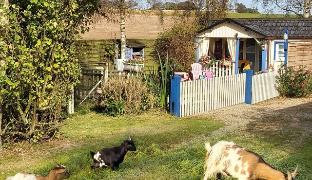 Quiet 3* Cottage 10m from Étretat | Fenced Garden | Dogs Welcome Farm animals