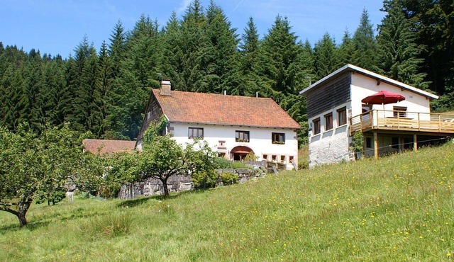 Quiet 3 * gîte on the edge of the forest, overlooking the Moselotte valley