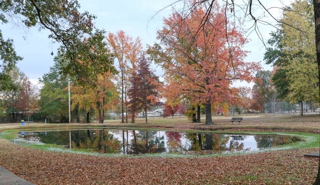 Quiet, 4-bed home with a park view.