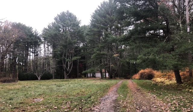 Quiet 4 Bedroom House with Lake Views on large field - perfect for family breaks