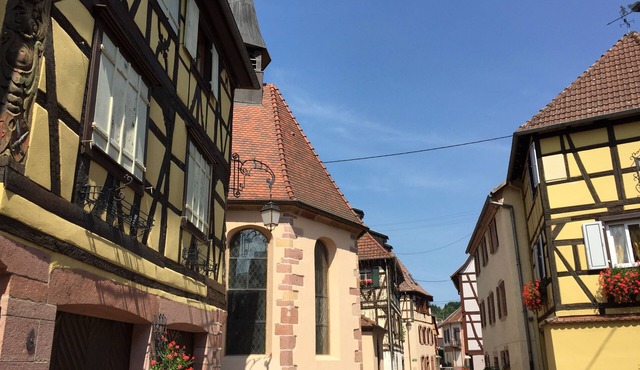 Quiet 40m2 apartment, wine route, Christmas market, ski resort