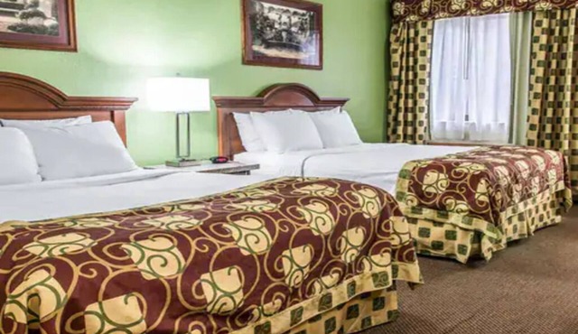 Quiet Accommodation with Free Parking | 2 Queen Beds | Near Air Zoo Museum