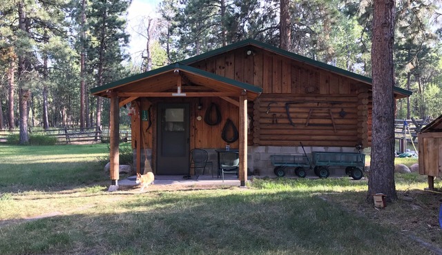 Quiet and cozy cabin with rustic charm but modern amenities