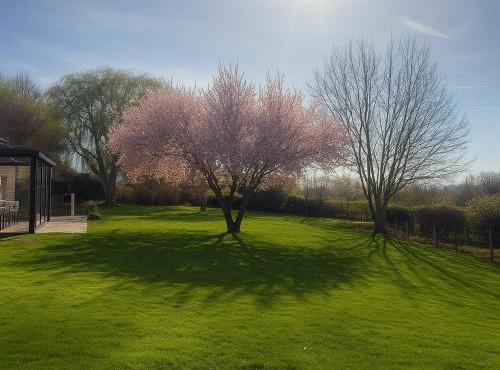 Quiet and good location apt