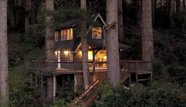 Quiet and Serene Cabin in the Tree's