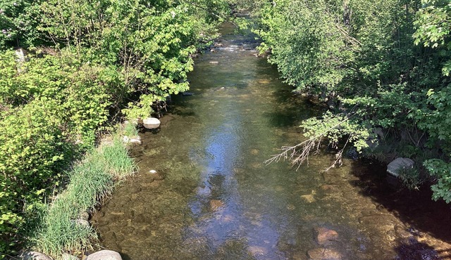 Quiet apartment near 3* hiking trails