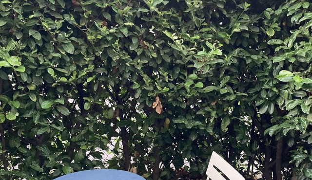 Quiet apartment with parking, near Lyon