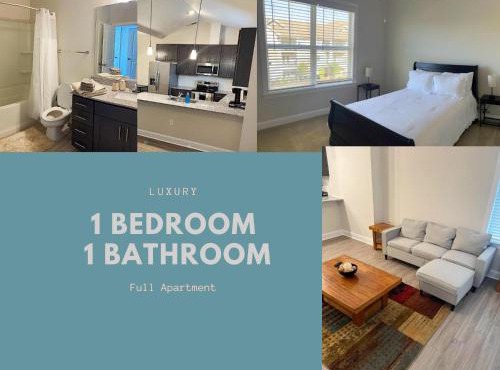 Quiet Apartment - 10 minutes from ECU
