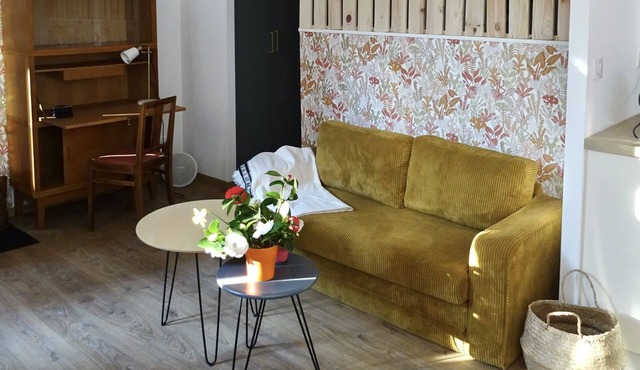 Quiet apartment at the foot of the castle! promenade along the river gave, pking 5 mn