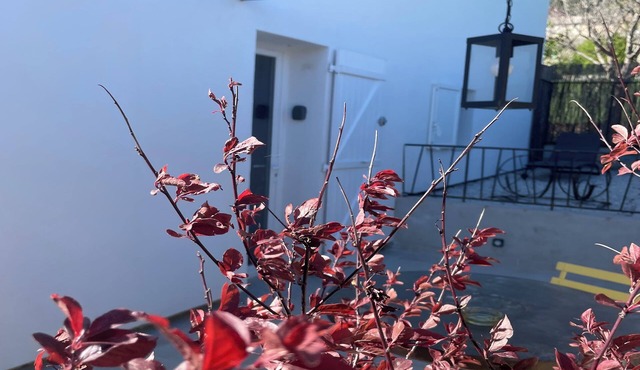 Quiet apartment with beautiful terrace