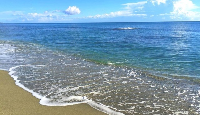 Quiet apartments 50m from a sandy beach (barbecue, garden, terrace)