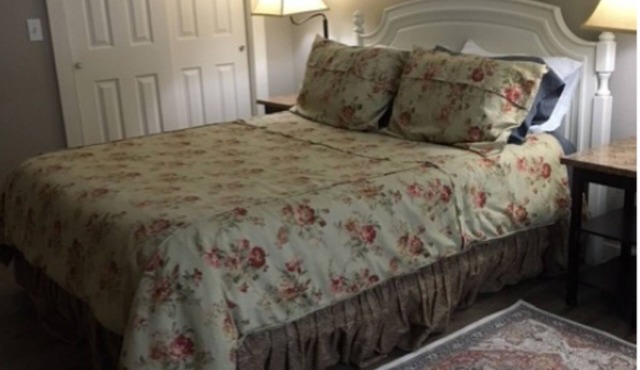 Quiet Apt. close to Okemo and Killington. Off Rt. 7 with private driveway.