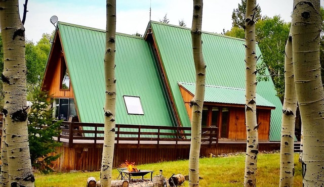 Quiet Aspen forest with a Mountain View.