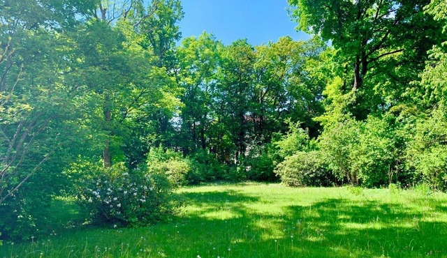 Quiet balcony apartment in the noble suburb of Munich Gräfelfing with a view of the countryside in Gräfelfing