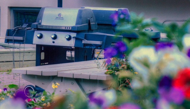 Quiet, Bright, Cozy Banff Condo