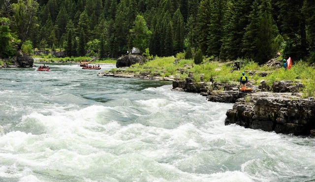 Quiet Cabin ~ 1 Mi to Snake River Fly Fishing