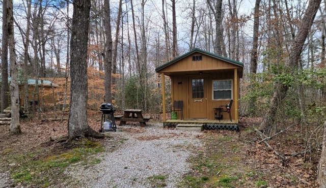 Quiet Cabin at The Retriever Retreat