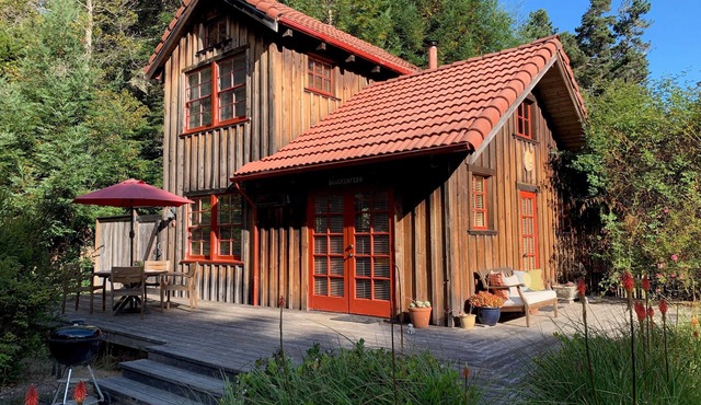 Quiet Cabin on 5 Acres Minutes From Mendocino and Ocean