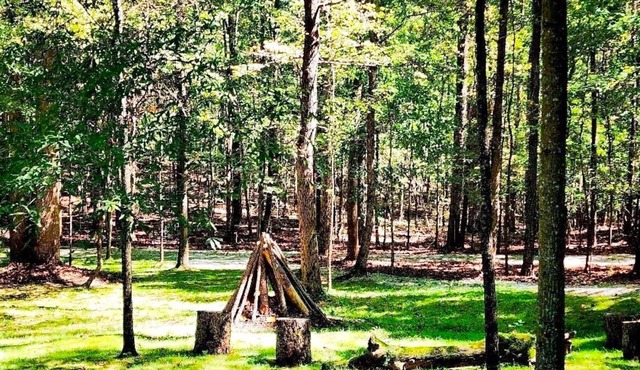 Quiet Cabin Retreat Near Serenbe