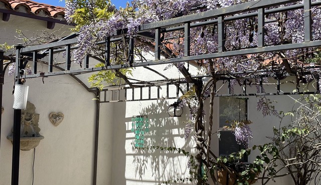 Quiet Casita in natural setting 10 minutes to SDSU
