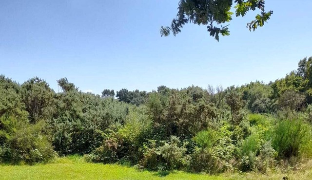 Quiet chalet near the Gulf of Morbihan