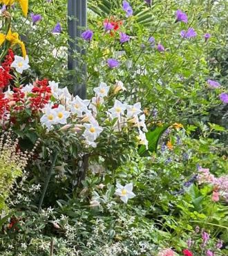 Quiet Comfort for Relaxing Stays