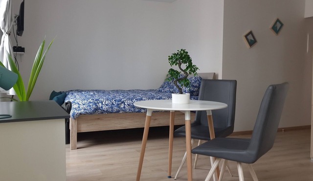 Quiet, comfortable studio for a stay in Dijon