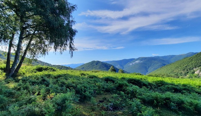 Quiet, cosy farm cottage with fireplace.