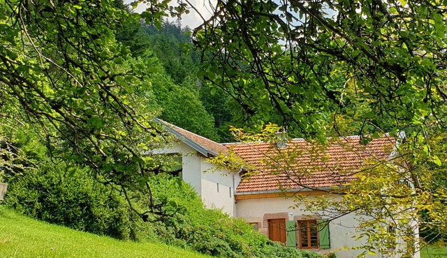 Quiet cottage in the countryside at 725 m
