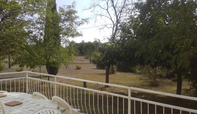 Quiet cottage in the countryside