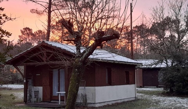Quiet cottage on the edge of the Ciron
