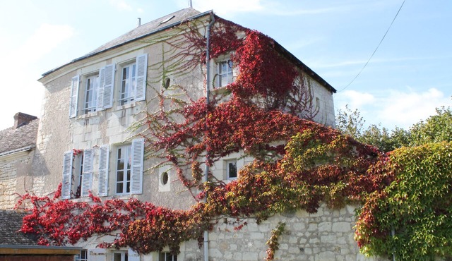 Quiet cottage with garden and WIFI in La Roche-Posay