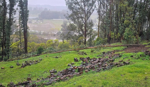 Quiet Country 1-bedroom apartment in Royal Oaks with beautiful views