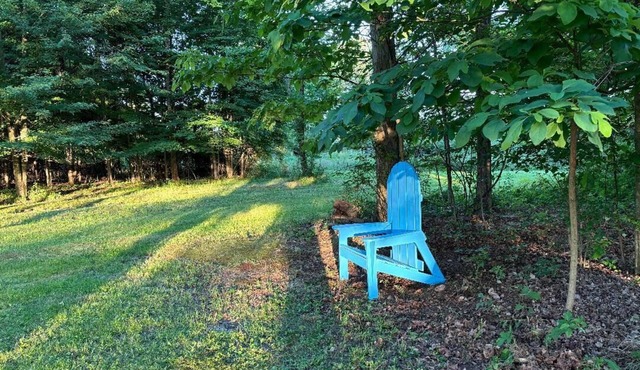 Quiet, country 2-bedroom mobile home with WiFi, AC in welcoming Forestville