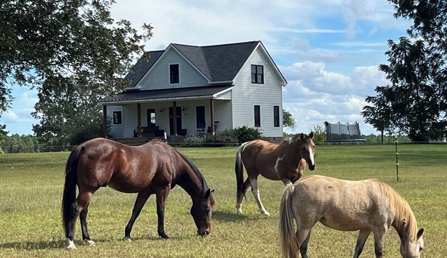 Quiet Country Getaway 10 minutes from Lake Gaston