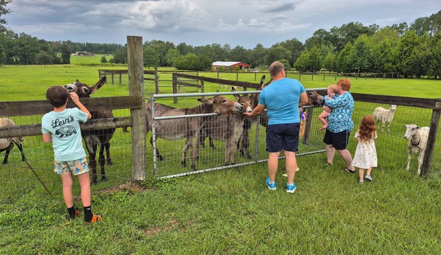 Quiet Country Getaway in Horse County Close to Ocala/Gainesville, Pet Friendly!