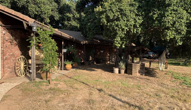Quiet Country living 1 bedroom guesthouse Huge oak trees pets ok, horse property