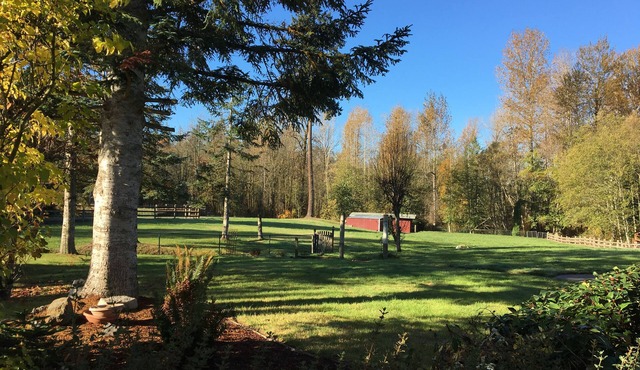 Quiet Country Retreat, 4 Bedroom Rambler on 9 Acres in Rural Edgewood Sleeps 9