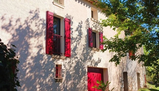 Quiet countryside amid century-old olive trees