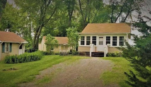 Quiet & Cozy Cabin Across from Fox Lake 🚤