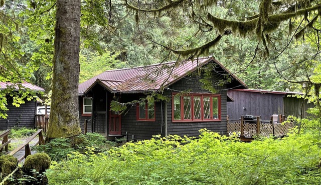 Quiet, Cozy Cottage in the Woods with Large Outdoor Area