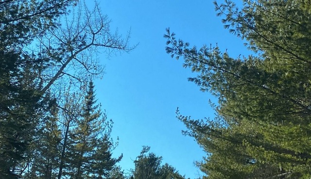 Quiet Eco Oasis on Fox Point Lake - 45mins from Halifax