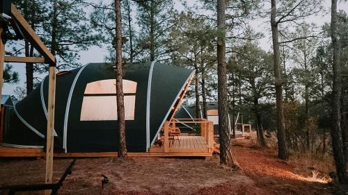 Quiet Escape Beneath New Mexico Skies