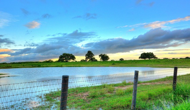 Quiet Escape on a South Texas Ranch 2BR Cabin house sleeps up to 3 adults