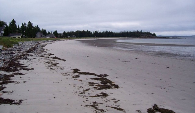 Quiet Family-Friendly Country Home