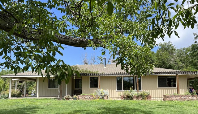 Quiet Farm in a Beautiful Walnut Orchard