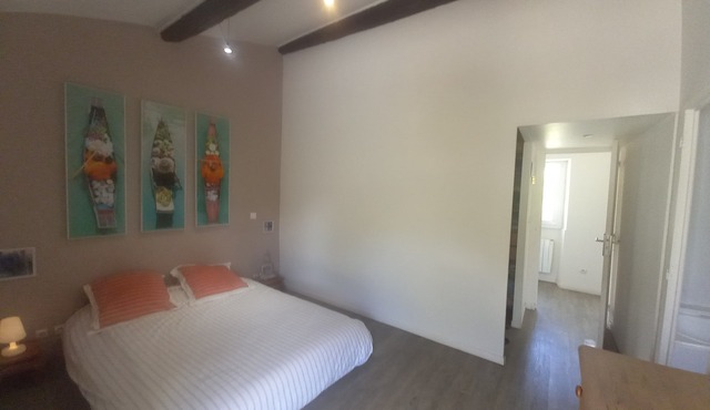 Quiet farmhouse at the foot of vineyards and forest - La Brede