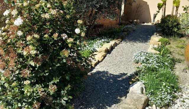 Quiet village house, swimming pool. Serenity guaranteed in its exotic garden.