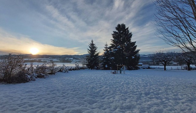 Quiet house, ideal for families!